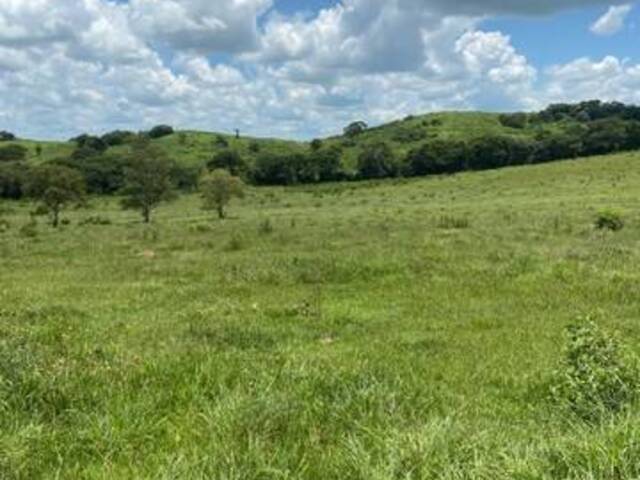 #202552 - Terreno para Venda em Monte Mor - SP - 1