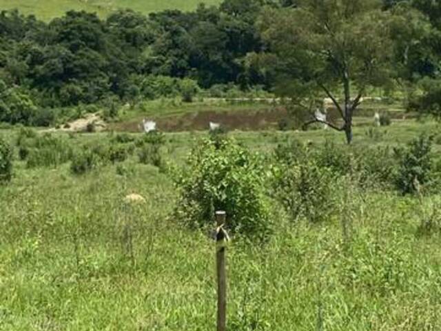 #202552 - Terreno para Venda em Monte Mor - SP - 2