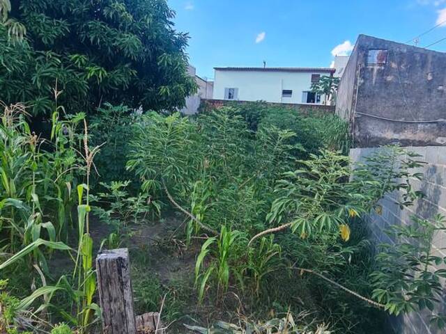 #223042 - Terreno para Venda em Hortolândia - SP - 3