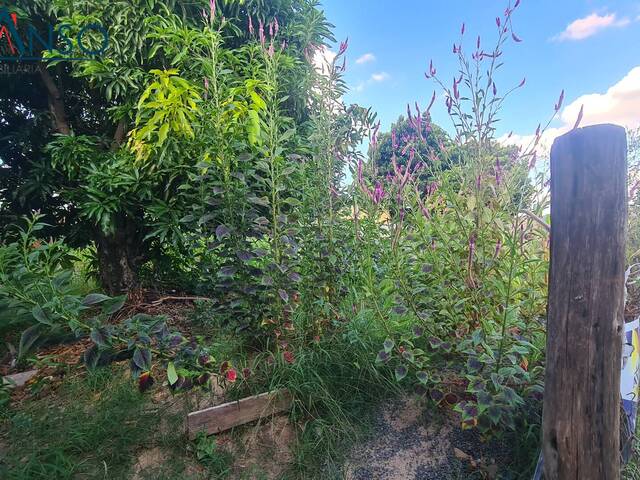 Terreno para Venda em Hortolândia - 5