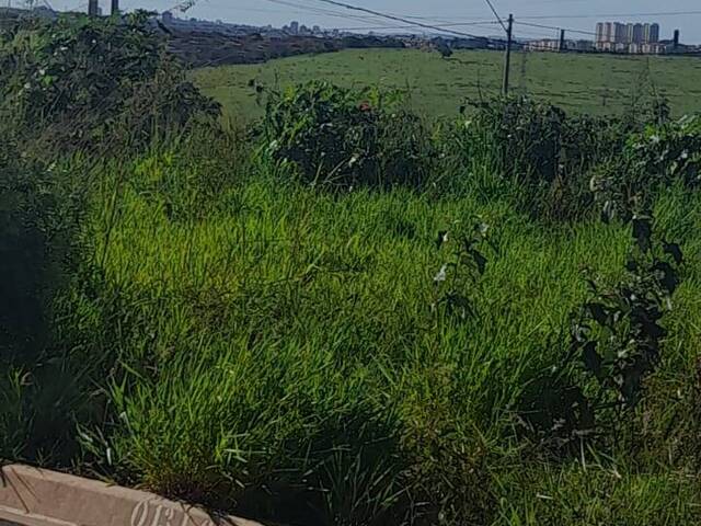 Terreno para Venda em Hortolândia - 5
