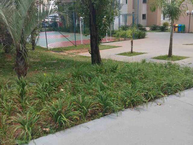 Apartamento para Venda em Hortolândia - 5