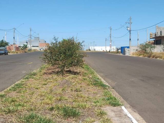 #223313 - Terreno para Venda em Hortolândia - SP - 3