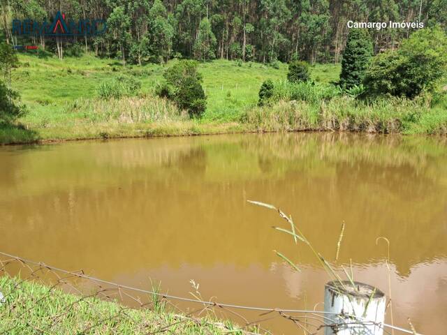#223328 - Sítio para Venda em Joanópolis - SP - 3