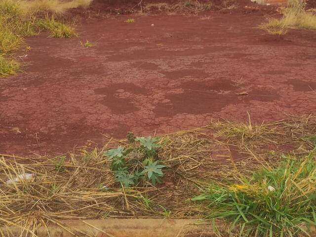 Terreno para Venda em Hortolândia - 4