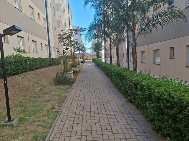 #13869 - Apartamento para Locação em Hortolândia - SP - 2