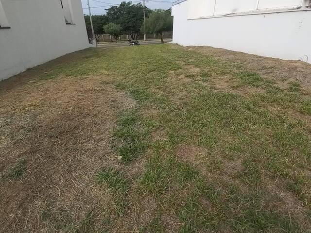 Terreno para Venda em Sumaré - 4