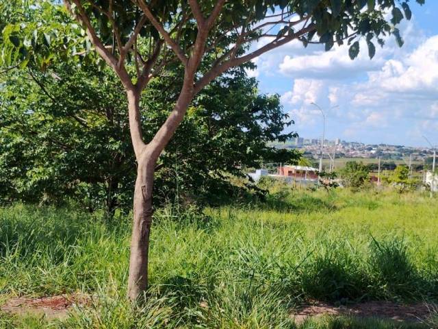 #223359 - Terreno para Venda em Hortolândia - SP - 2