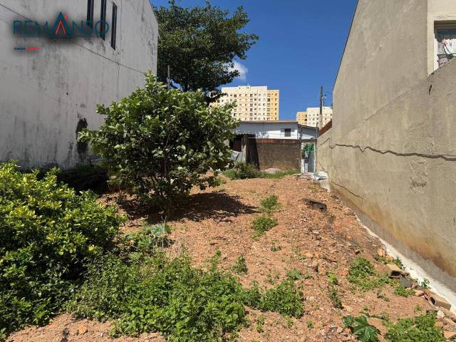 #223364 - Terreno para Venda em Campinas - SP - 3