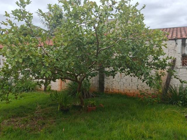 #223371 - Casa para Venda em Hortolândia - SP - 1