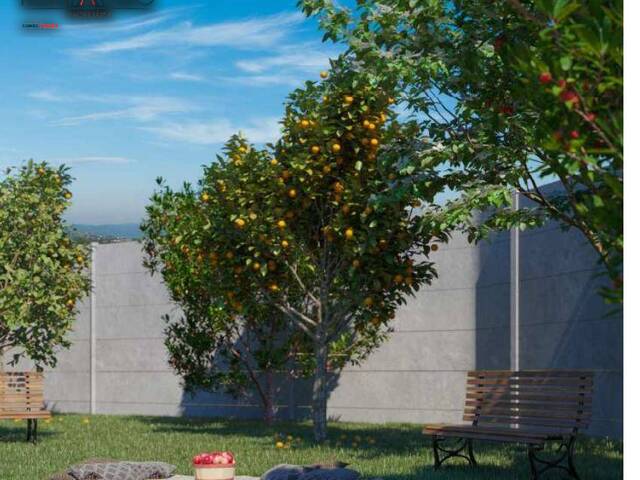 #224016 - Apartamento para Venda em Hortolândia - SP - 3