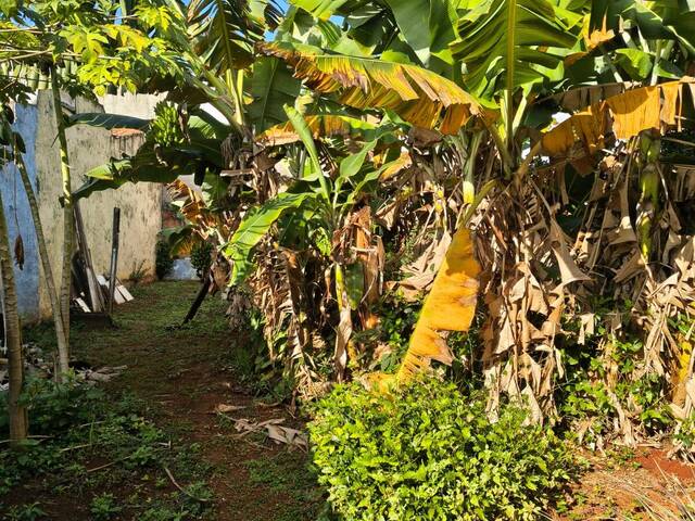 Terreno para Venda em Hortolândia - 5